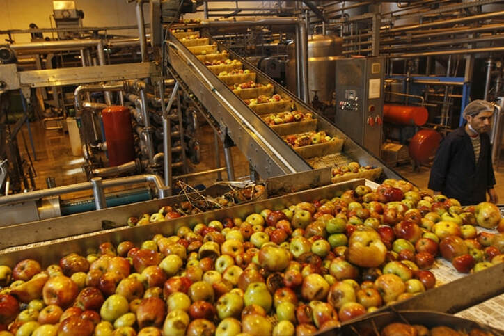 Food Processing Market in India